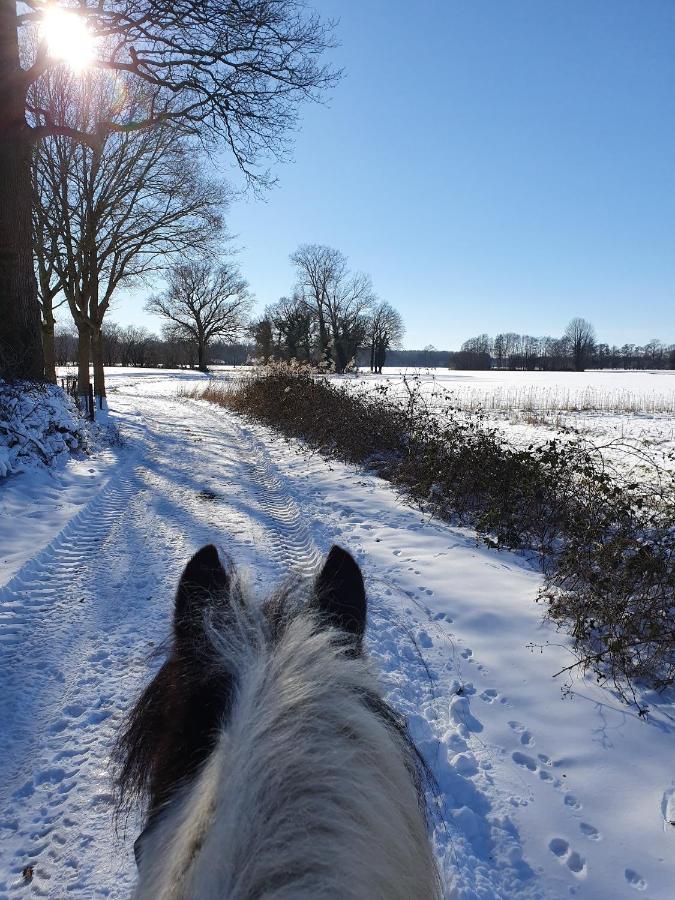 Leuk Boerderijtje Op Prachtige Plek, Nabij Natuurgebied Ruurlo Extérieur photo